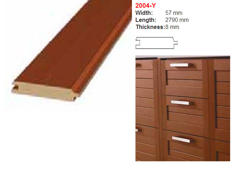 2004Y